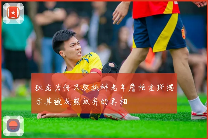 狄龙为何只敢挑衅老年詹帕金斯揭示其被灰熊放弃的真相