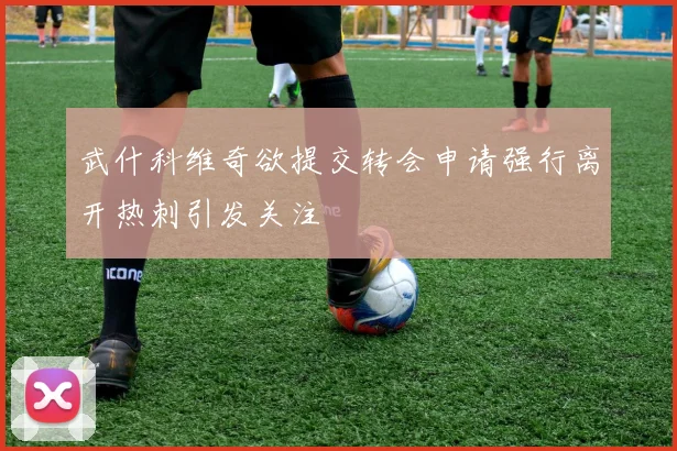 武什科维奇欲提交转会申请强行离开热刺引发关注